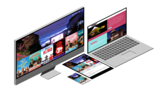 Screenshot Website Sommernachtfestival